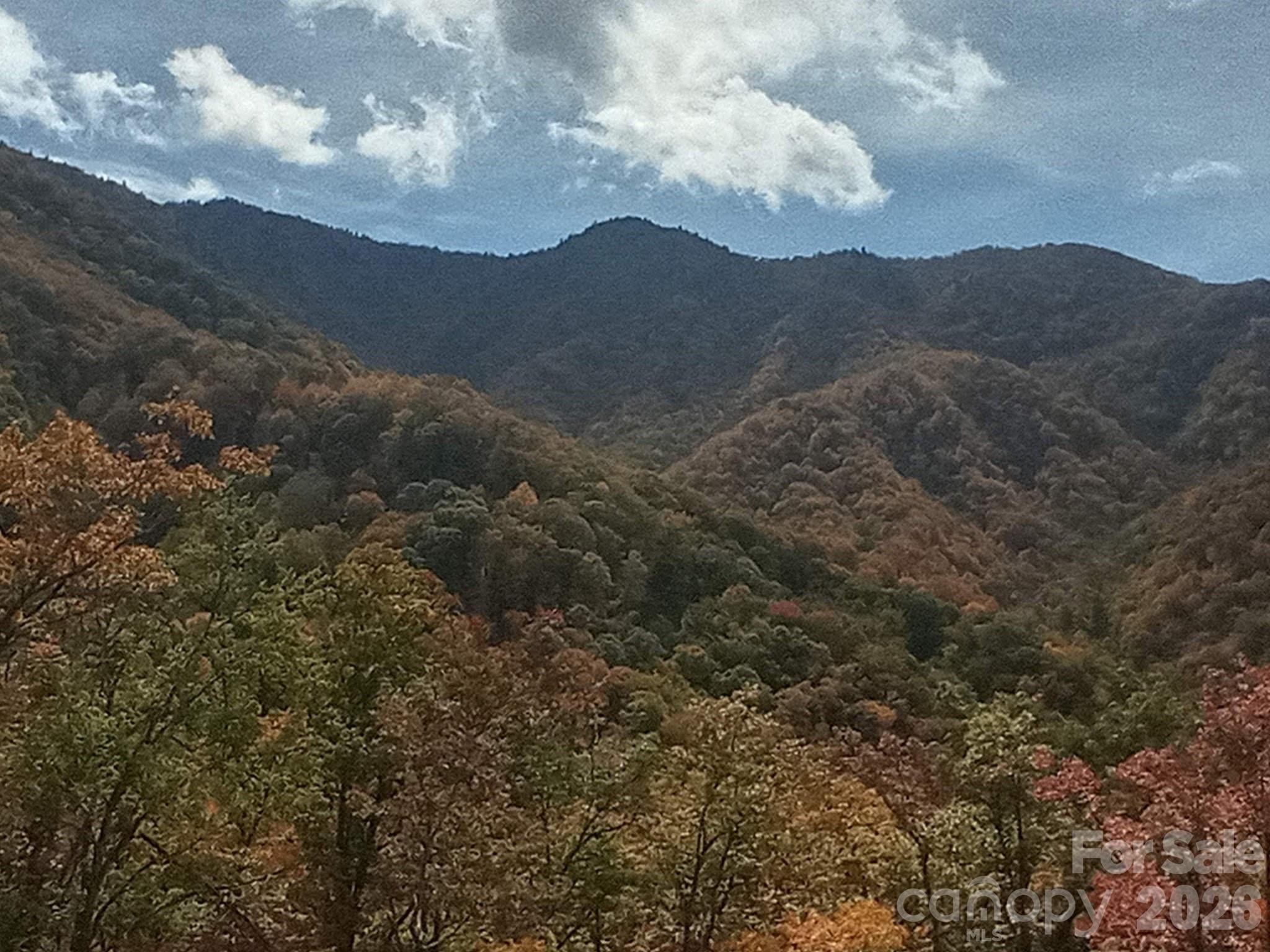 241 Bloom Trail Cherokee, NC 28719 - Photo 13 of 23