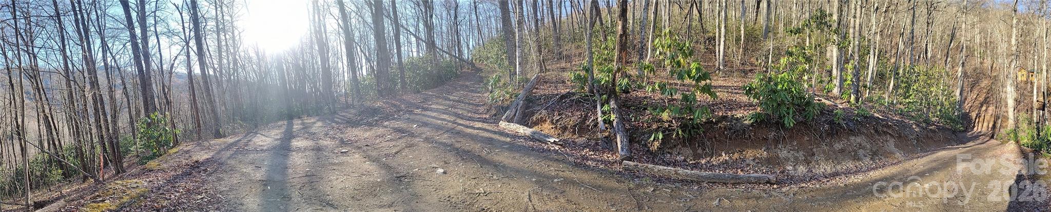 241 Bloom Trail Cherokee, NC 28719 - Photo 14 of 23