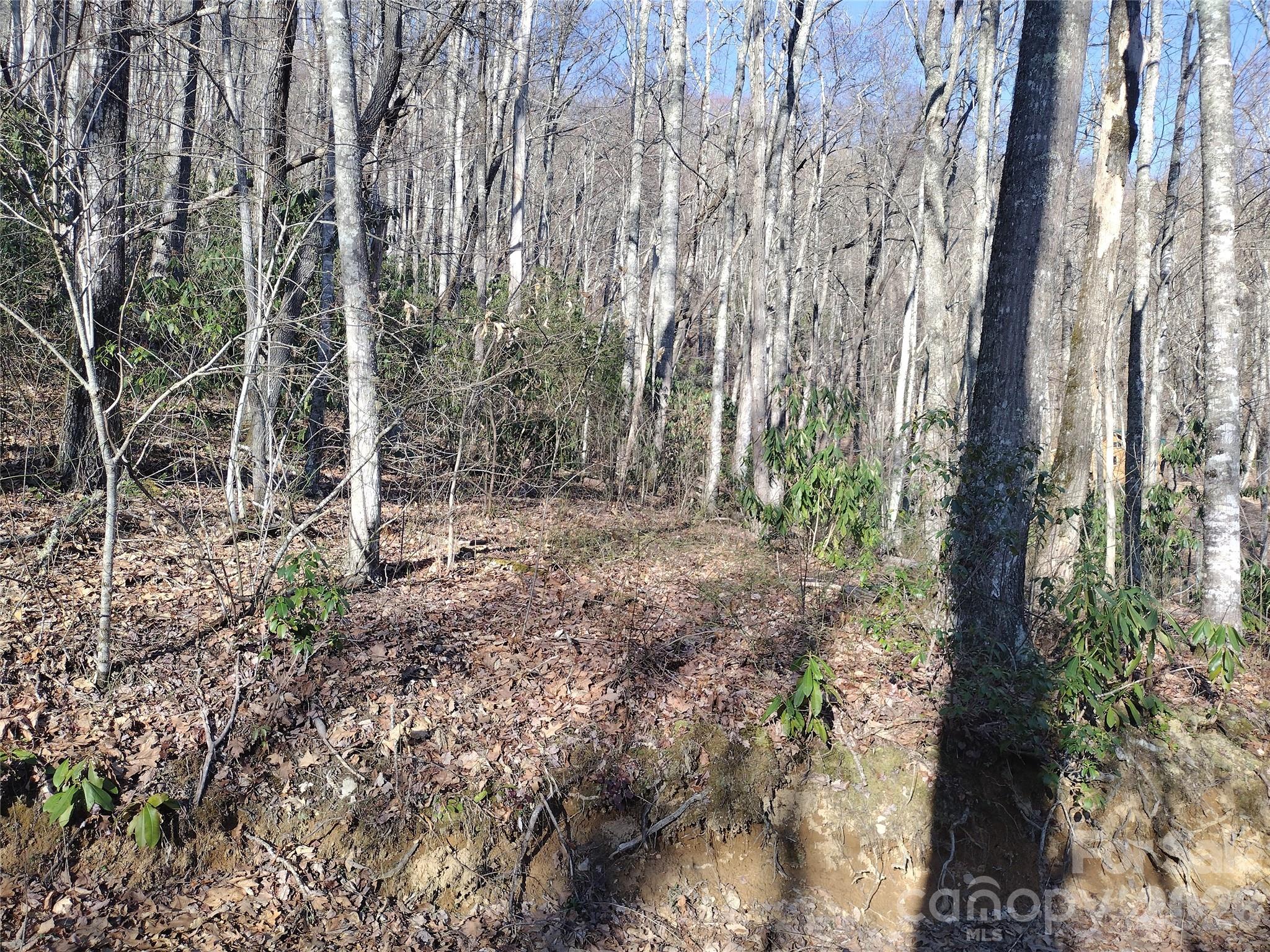 241 Bloom Trail Cherokee, NC 28719 - Photo 15 of 23