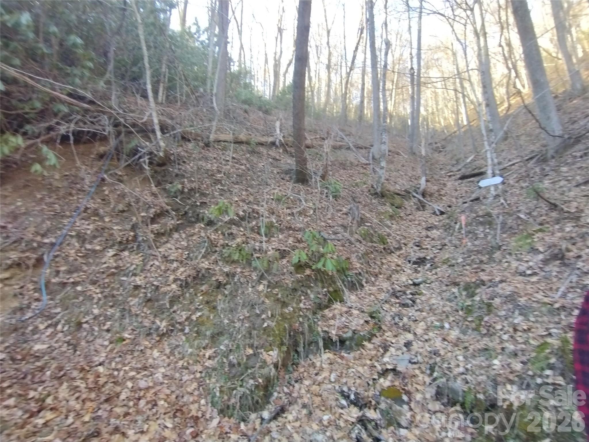 241 Bloom Trail Cherokee, NC 28719 - Photo 16 of 23