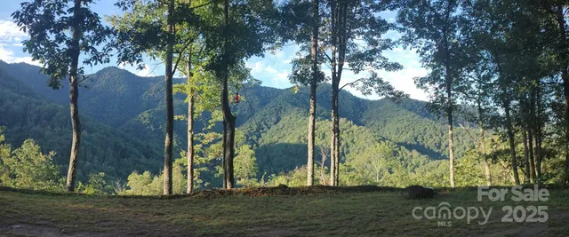 a view of a dry yard with a mountain