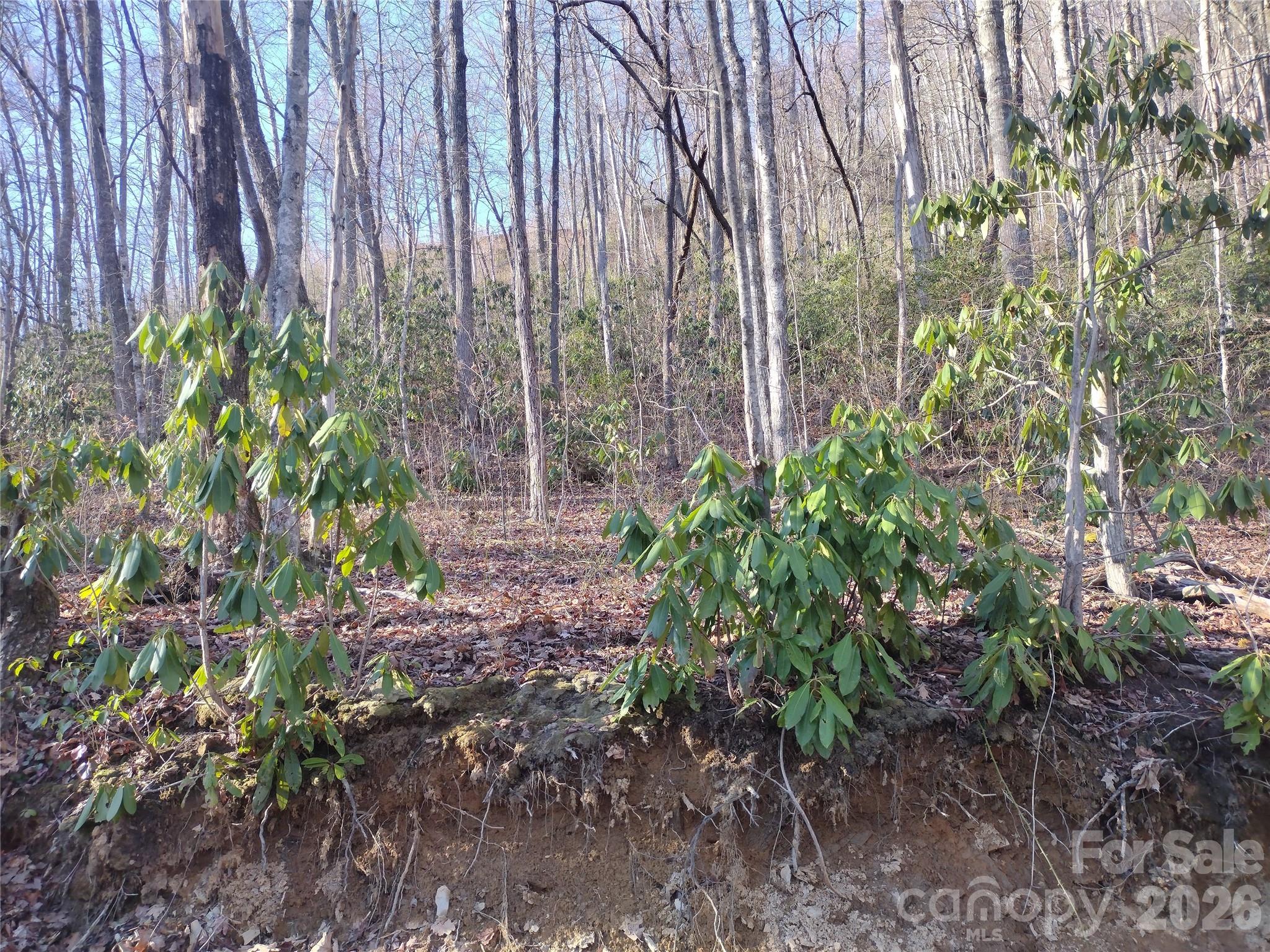 241 Bloom Trail Cherokee, NC 28719 - Photo 17 of 23
