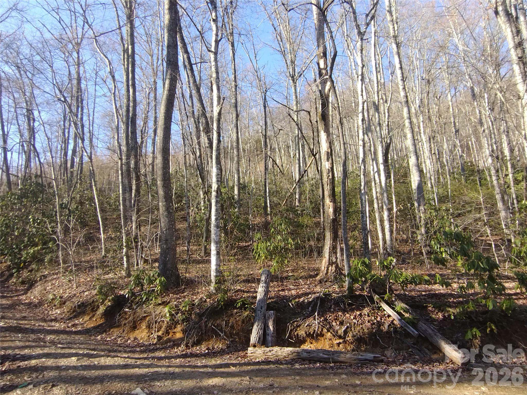 241 Bloom Trail Cherokee, NC 28719 - Photo 18 of 23