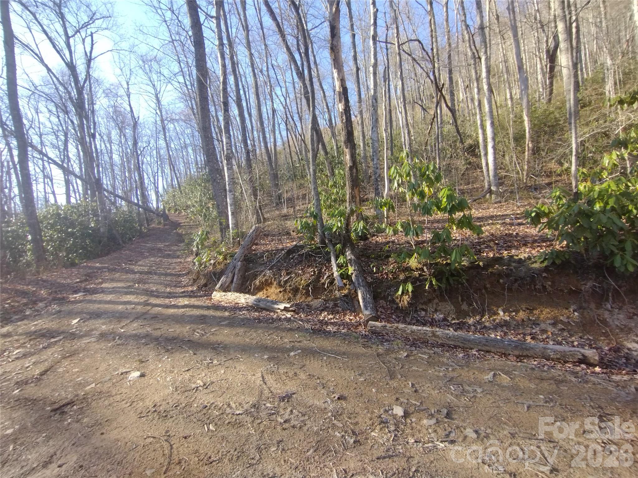 241 Bloom Trail Cherokee, NC 28719 - Photo 19 of 23