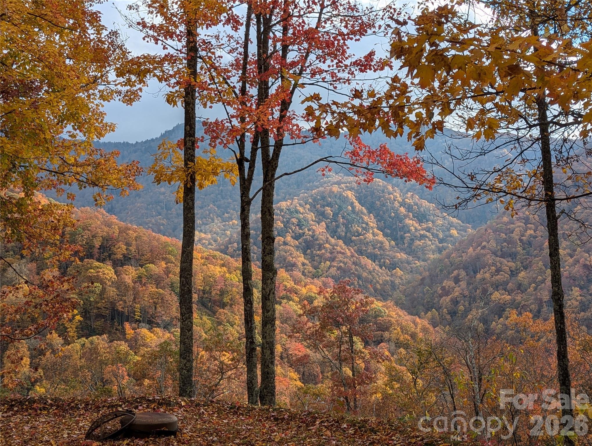 241 Bloom Trail Cherokee, NC 28719 - Photo 2 of 23
