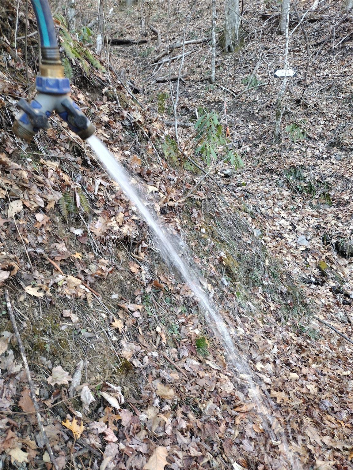 241 Bloom Trail Cherokee, NC 28719 - Photo 21 of 23