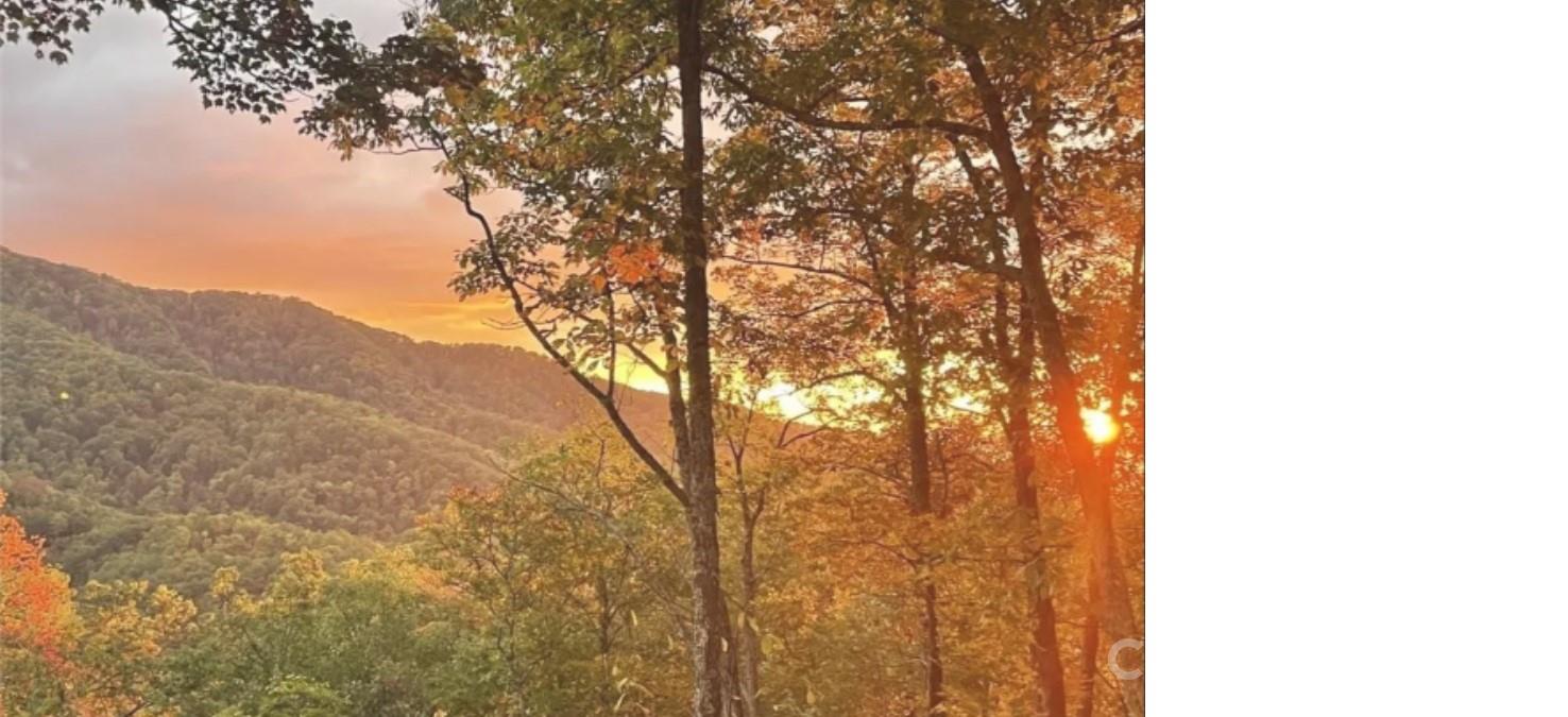 241 Bloom Trail Cherokee, NC 28719 - Photo 23 of 23