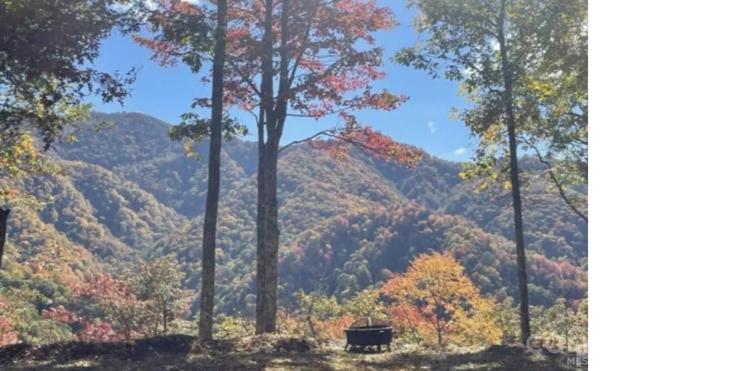 241 Bloom Trail Cherokee, NC 28719 - Photo 4 of 23