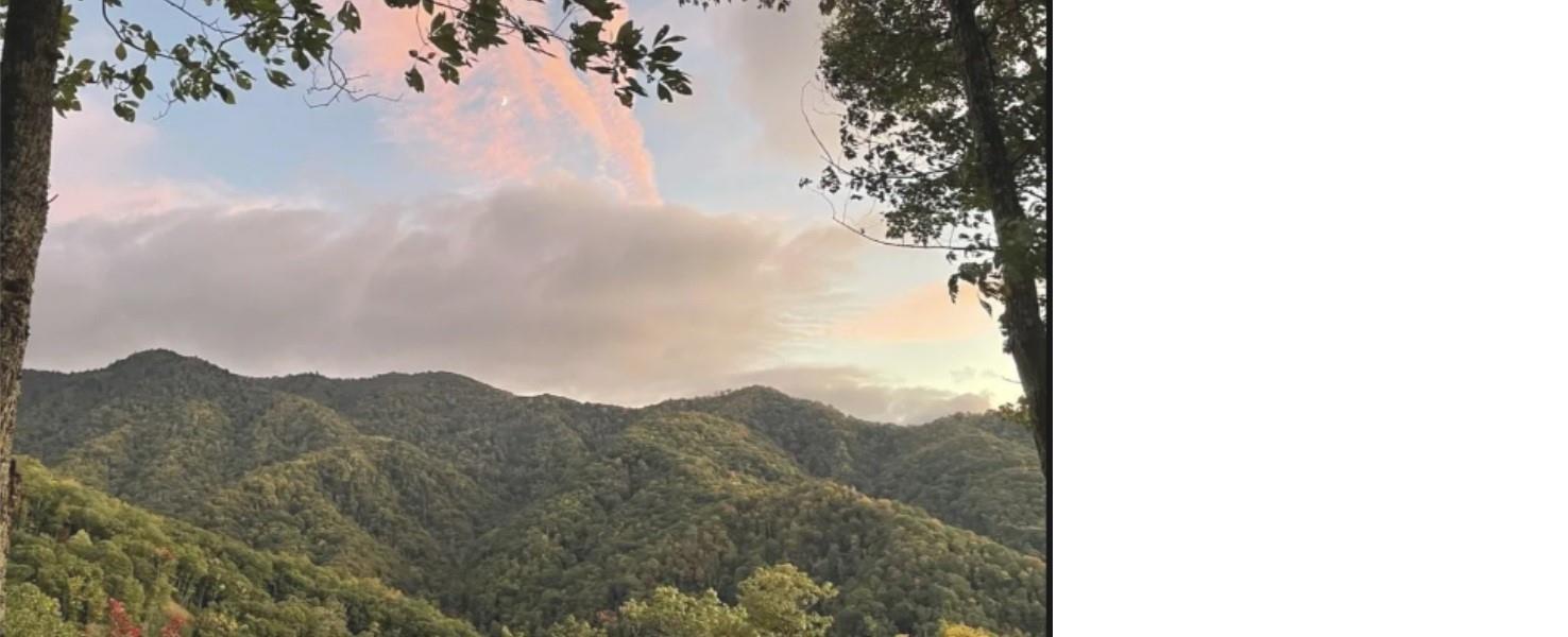 241 Bloom Trail Cherokee, NC 28719 - Photo 6 of 23