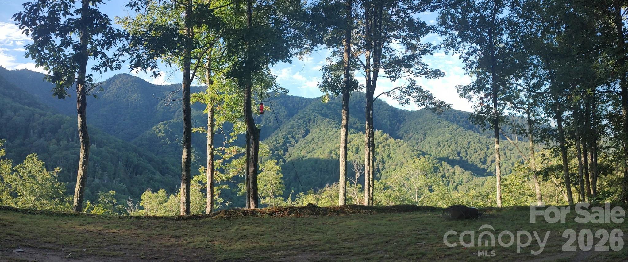 241 Bloom Trail Cherokee, NC 28719 - Photo 10 of 23