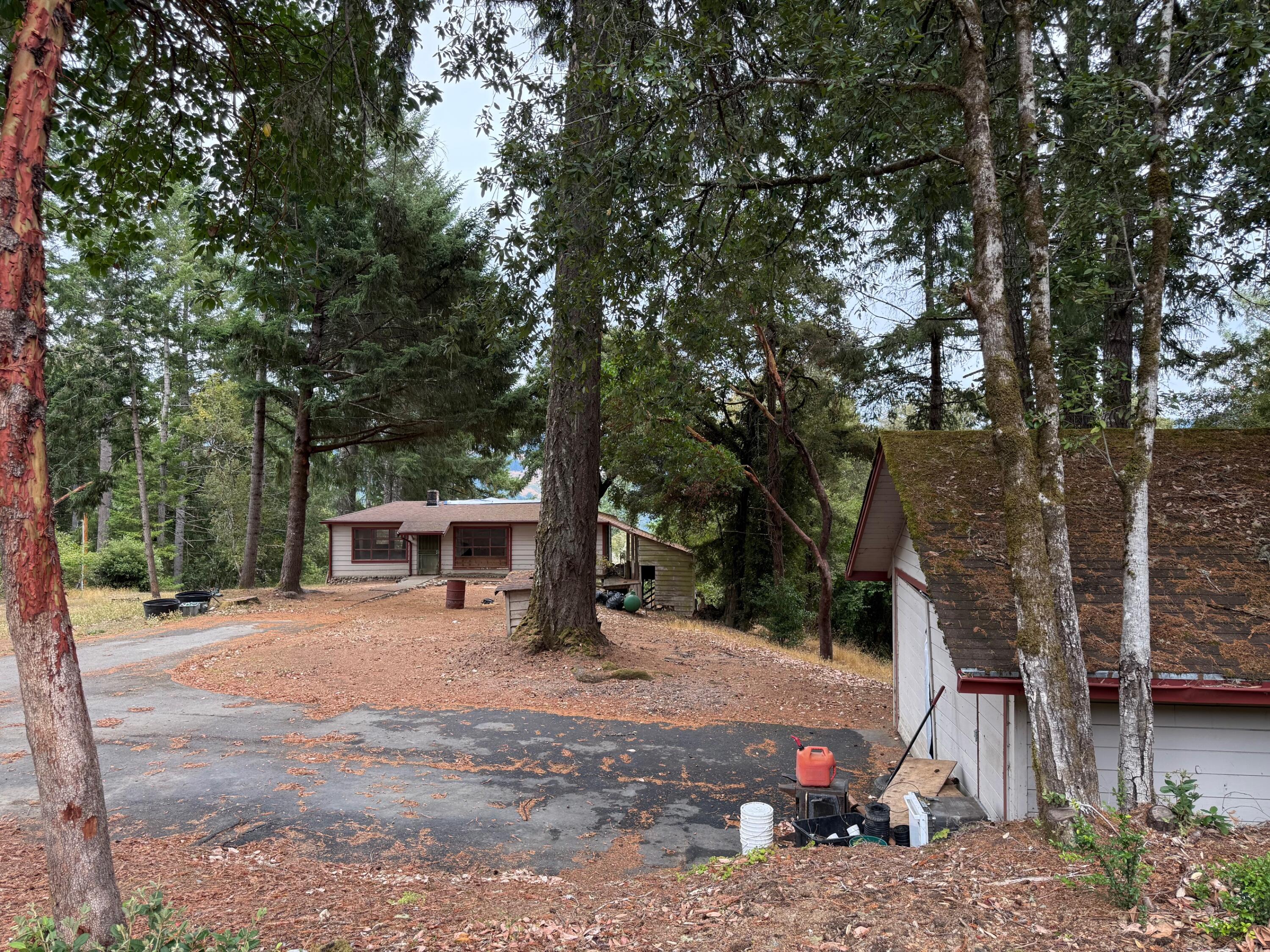 9819 Dyerville Loop Road Myers Flat, CA 95554 - Photo 18 of 27