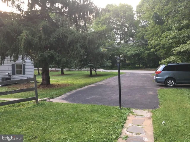 a view of a park with large trees