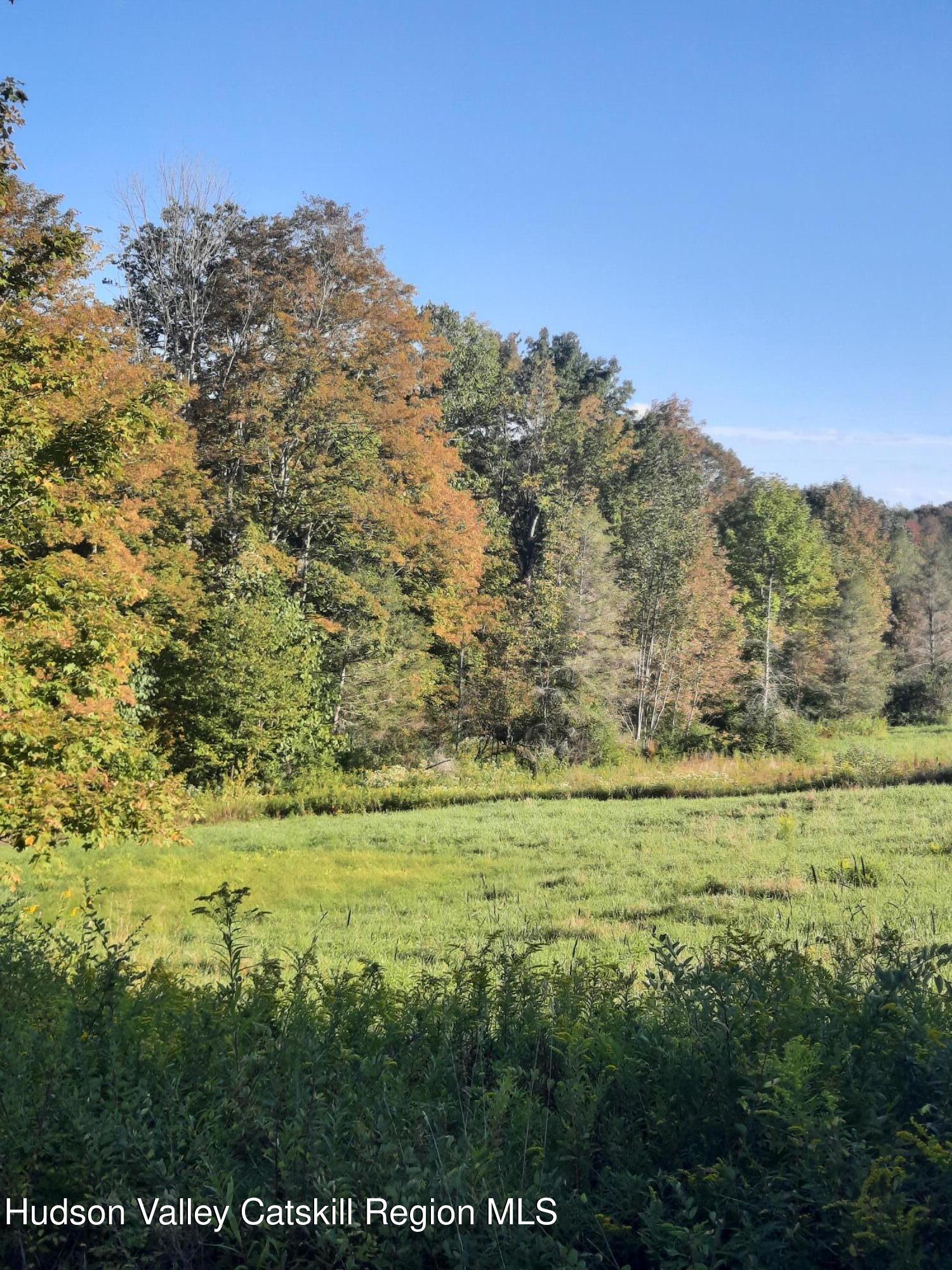Tbd Upper Dingle Hill Road Andes, NY 13731 - Photo 10 of 44 20250911_170316