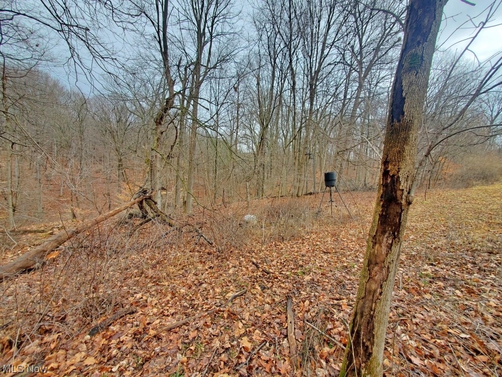 1357 Sand Ridge Road Zanesville, OH 43701 - Photo 12 of 50 View of nature