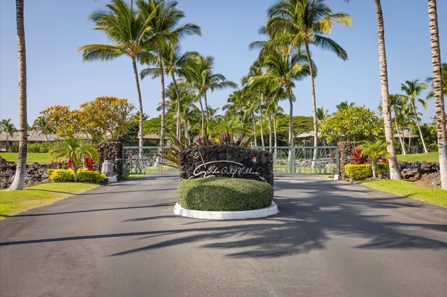 a view of a park with palm trees