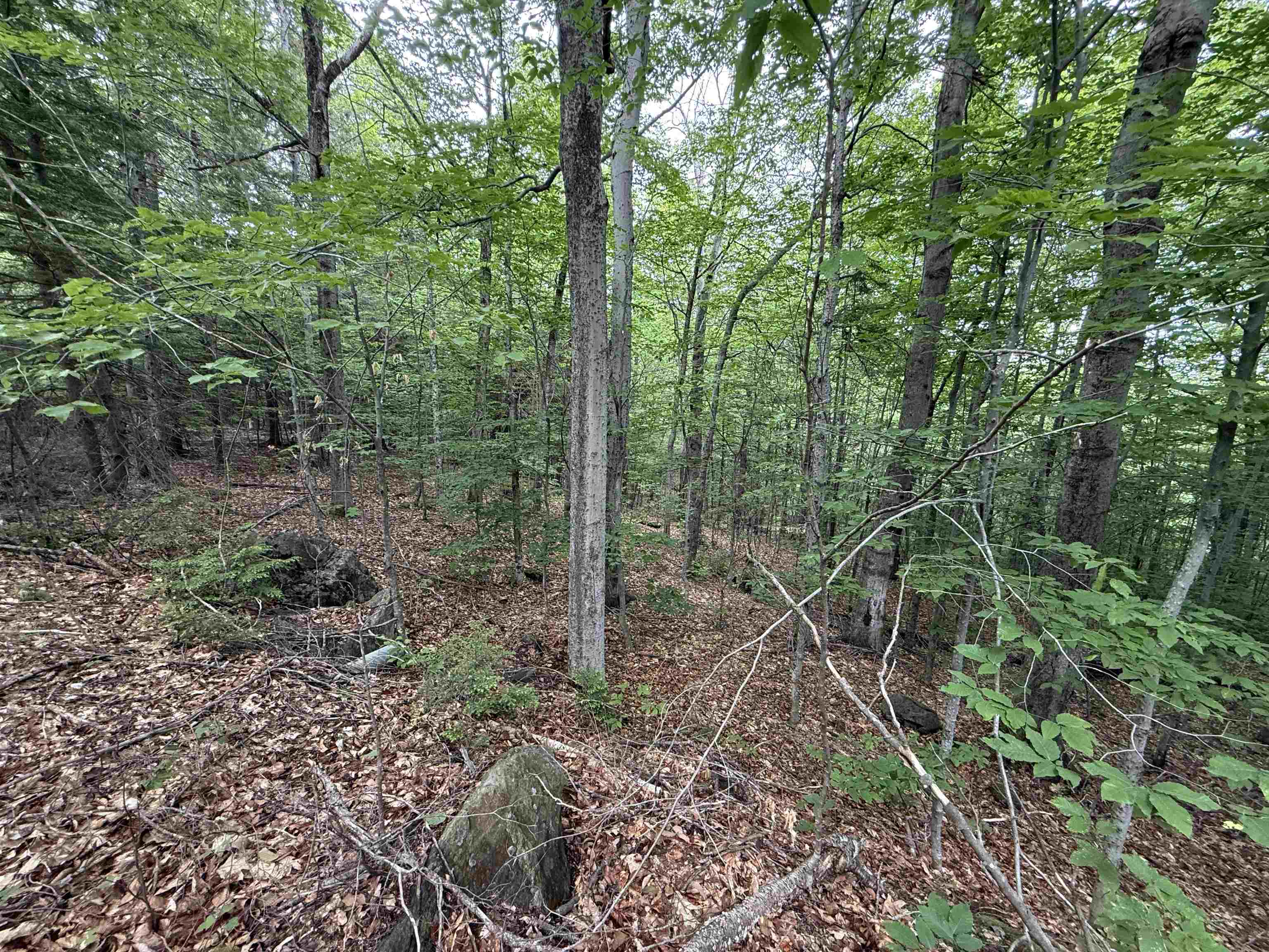 Lot 6 Akerman Road Alexandria, NH 03222 - Photo 6 of 16