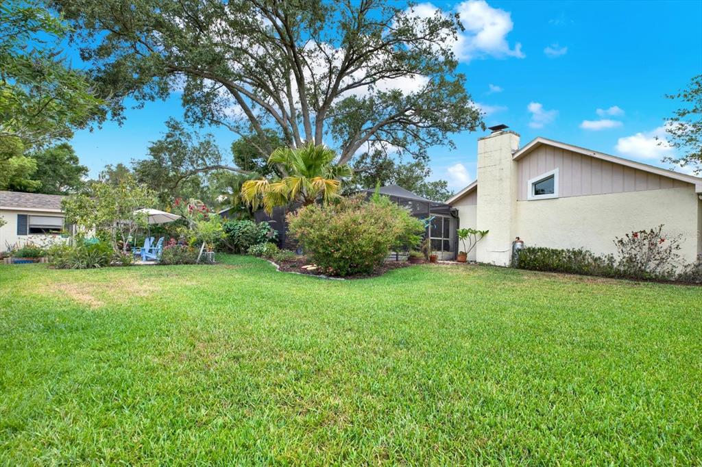 2806 Fairway View Drive Valrico, FL 33596 - Photo 42 of 45 a backyard of a house with lots of green space