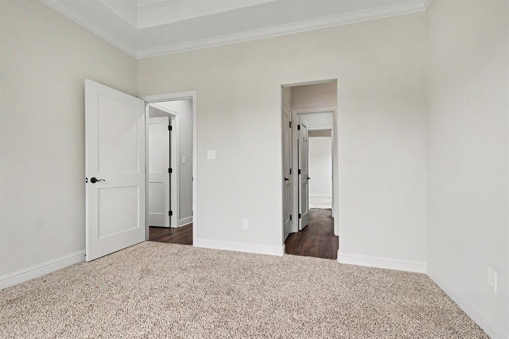 530 P R 491 Leonard, TX 75452 - Photo 21 of 35 Bedroom featuring plush carpet flooring and a tray ceiling