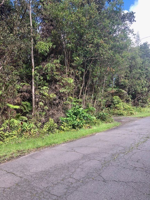 a view of a yard with a tree