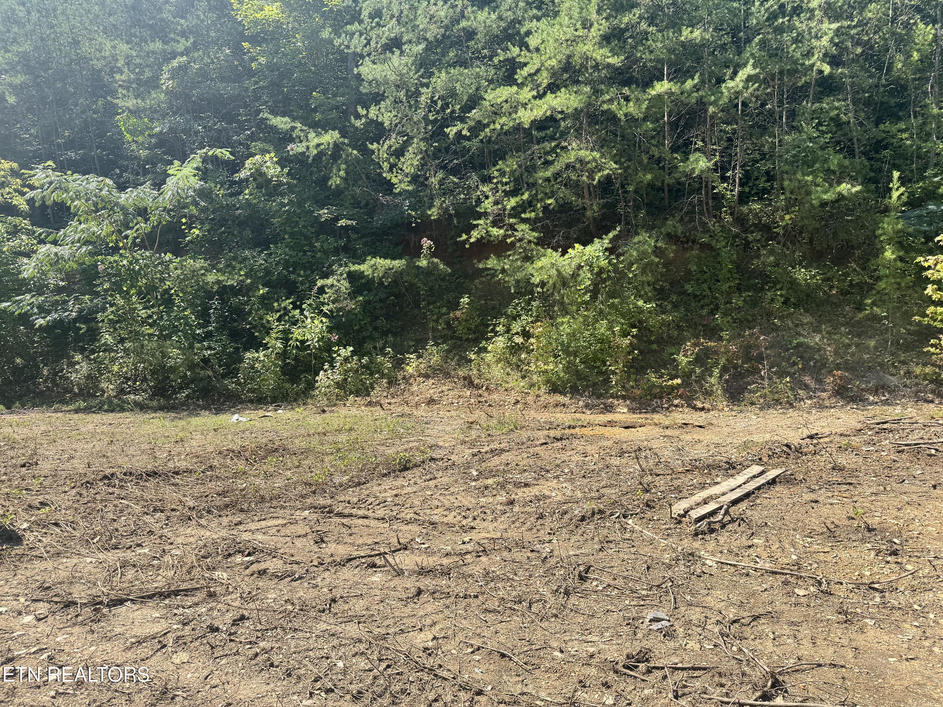 955 Rock Haven Road Bean Station, TN 37708 - Photo 18 of 28 Building Spot