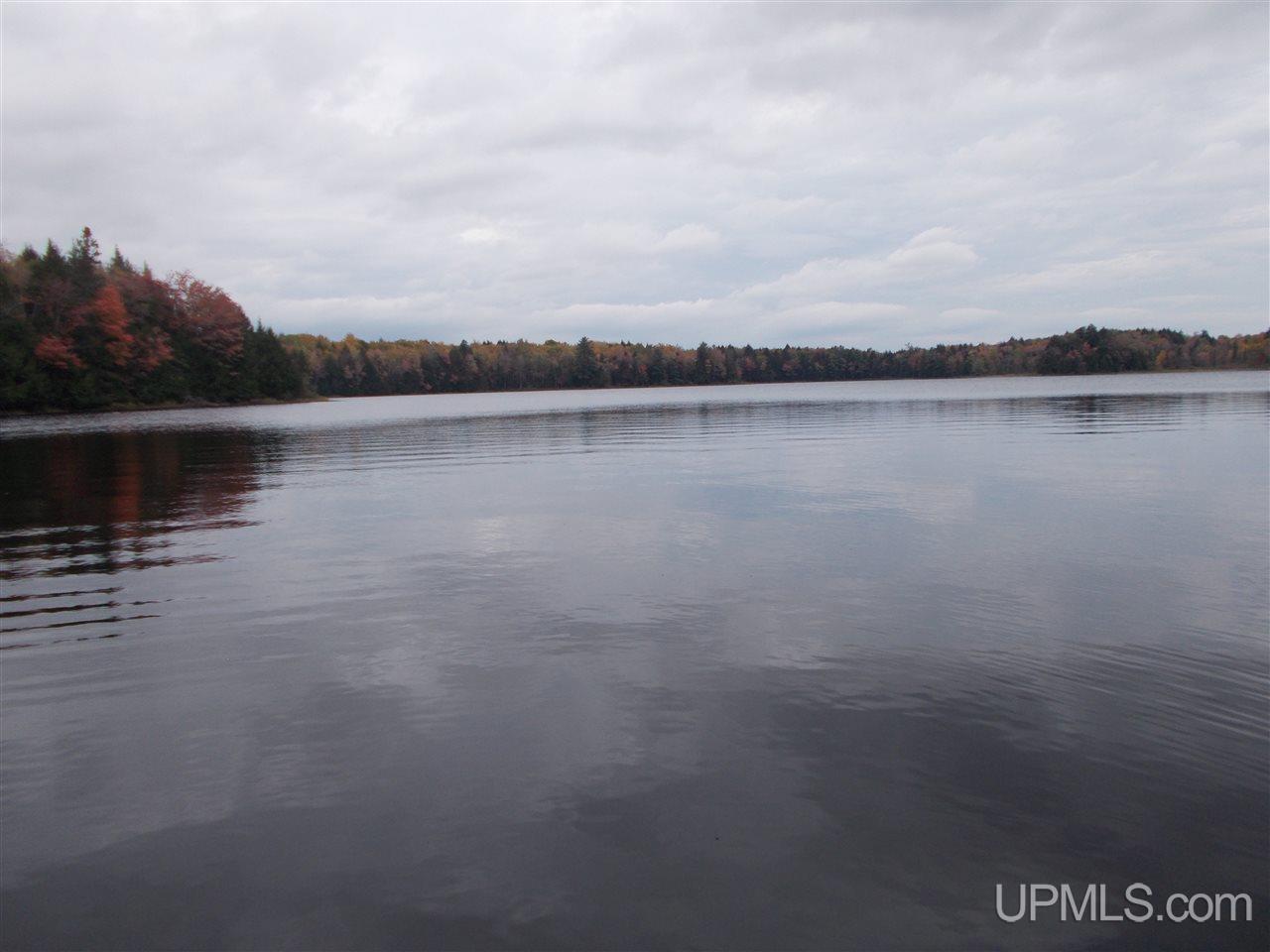 Clark Lake Jack Spurr Road Wakefield, MI 49968 - Photo 8 of 20