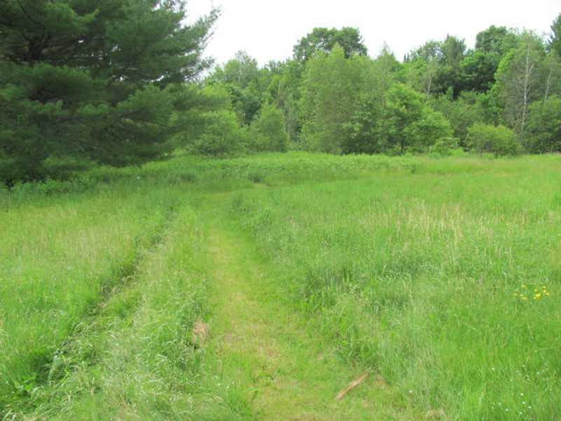 323 Lane Road New Sharon, ME 04955 - Photo 12 of 17 Other. Field