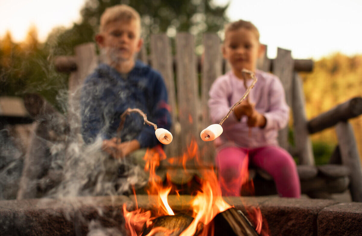 1000 Winding Grv Lane Moncks Corner, SC 29461 - Photo 23 of 26 Community Firepit