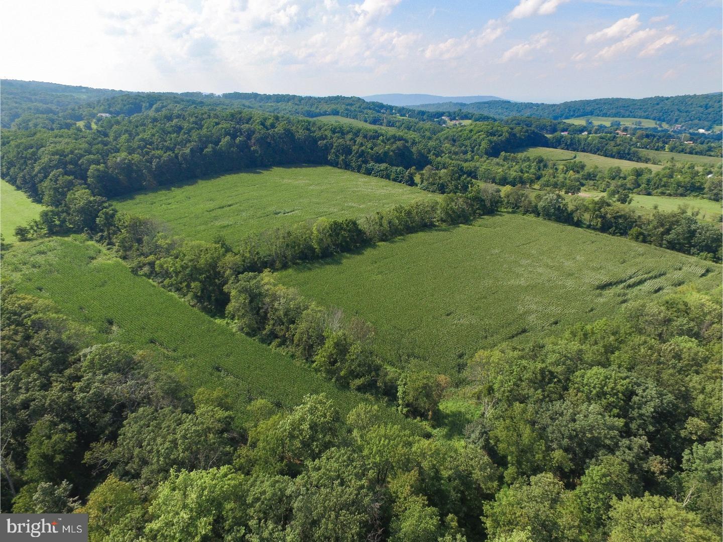 Lot 002 Peppermint Road Coopersburg, PA 18036 - Photo 2 of 7 Gallery Image 2