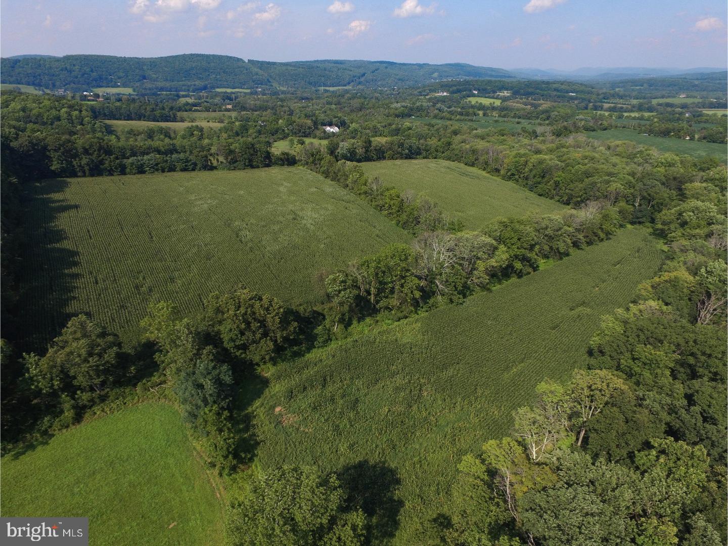 Lot 002 Peppermint Road Coopersburg, PA 18036 - Photo 3 of 7 Gallery Image 3