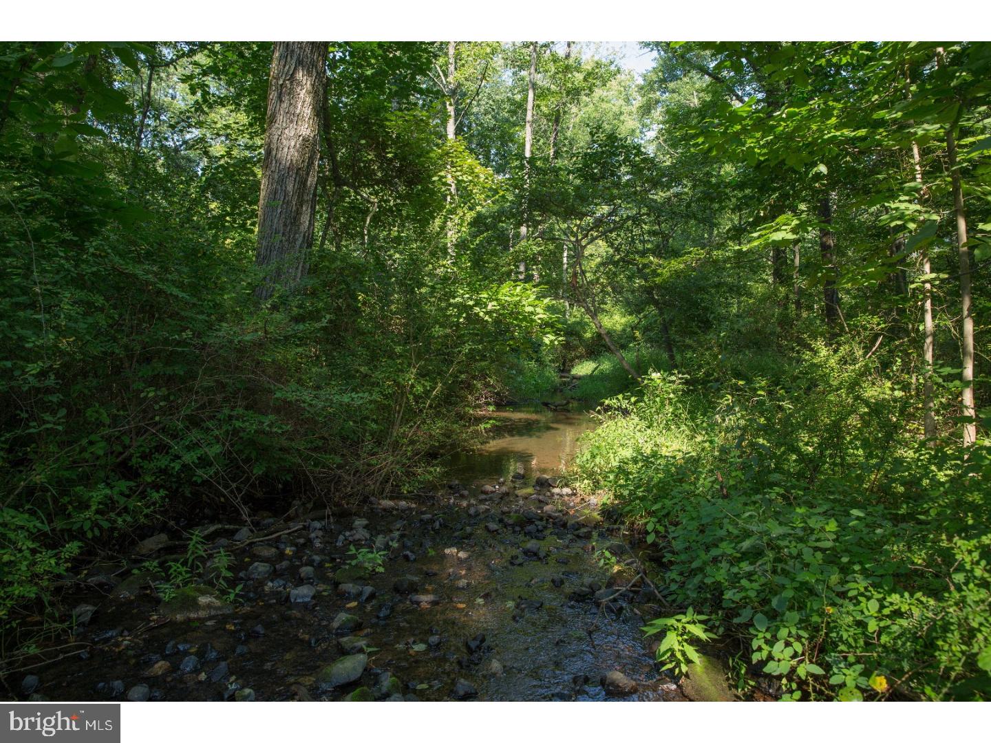 Lot 002 Peppermint Road Coopersburg, PA 18036 - Photo 6 of 7 Gallery Image 6