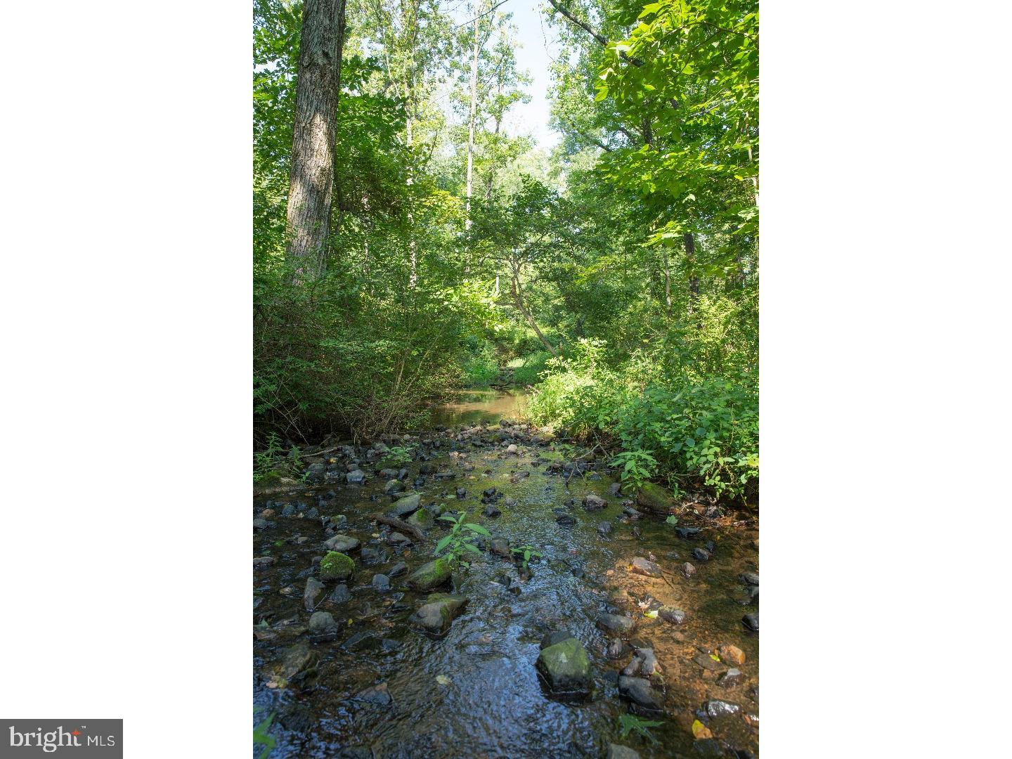 Lot 002 Peppermint Road Coopersburg, PA 18036 - Photo 7 of 7 Gallery Image 7