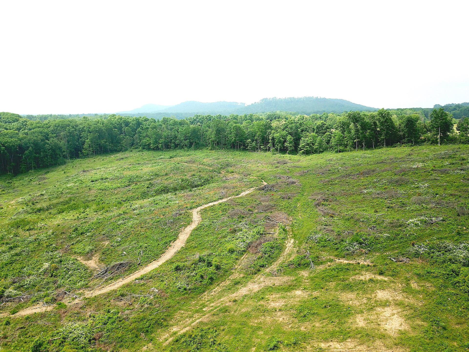 0 Beatty Road Waverly, OH 45690 - Photo 24 of 28 DJI_0965