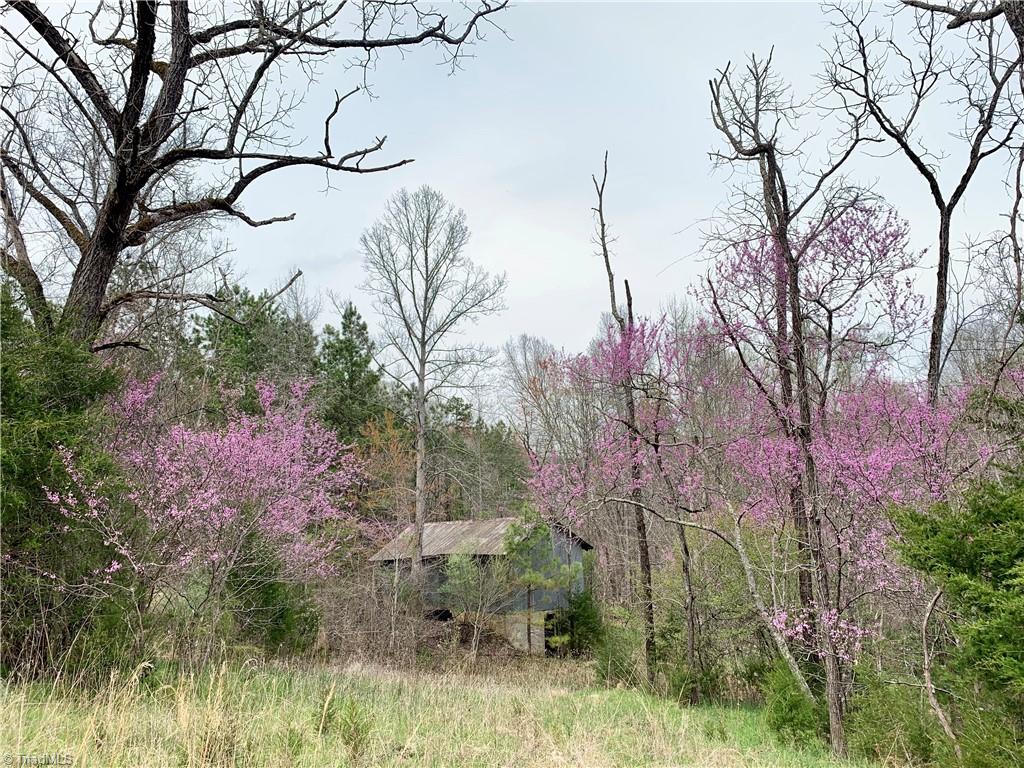 12 Sand Hole Road Pinnacle, NC 27043 - Photo 22 of 36