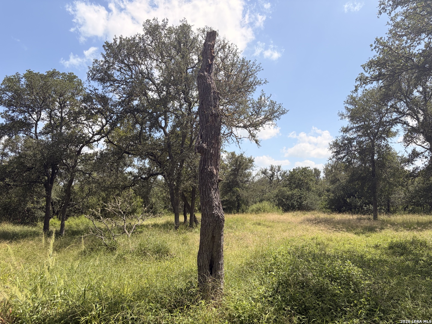 133 Mark Adams Road Del Valle, TX 78617 - Photo 22 of 36