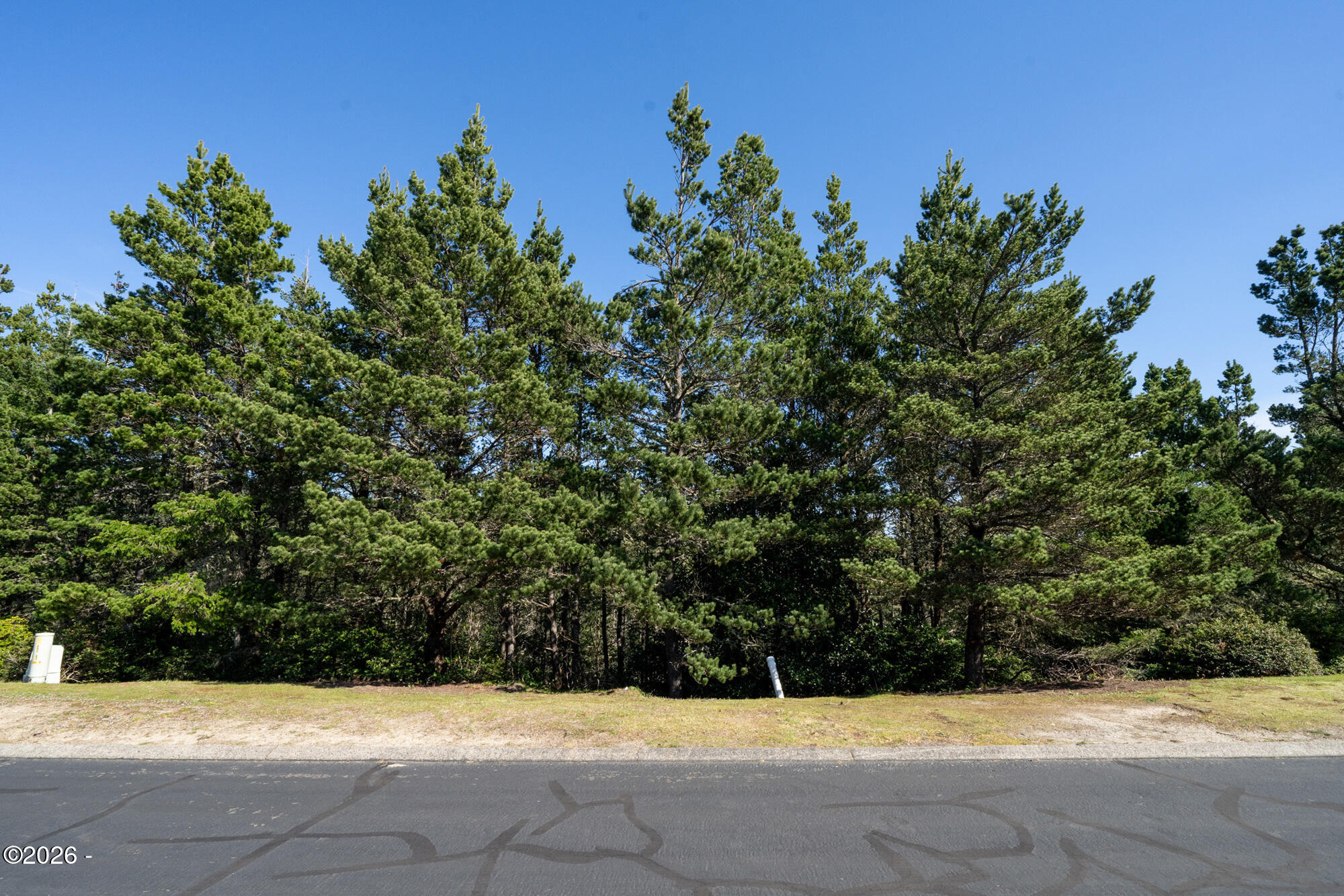 169 Promontory Lane Tillamook, OR 97141 - Photo 10 of 22 8_dsc05699-2