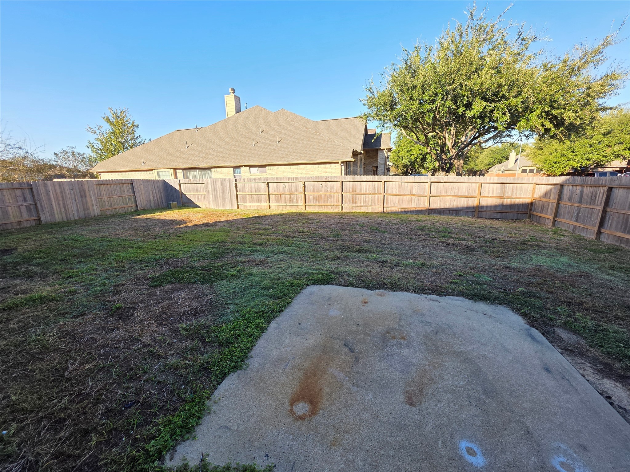 22231 Bridgestone Oak Drive Spring, TX 77388 - Photo 25 of 25 a view of backyard with green space