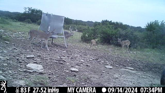 1 Elrincon Road Mountain Home, TX 78058 - Photo 12 of 19