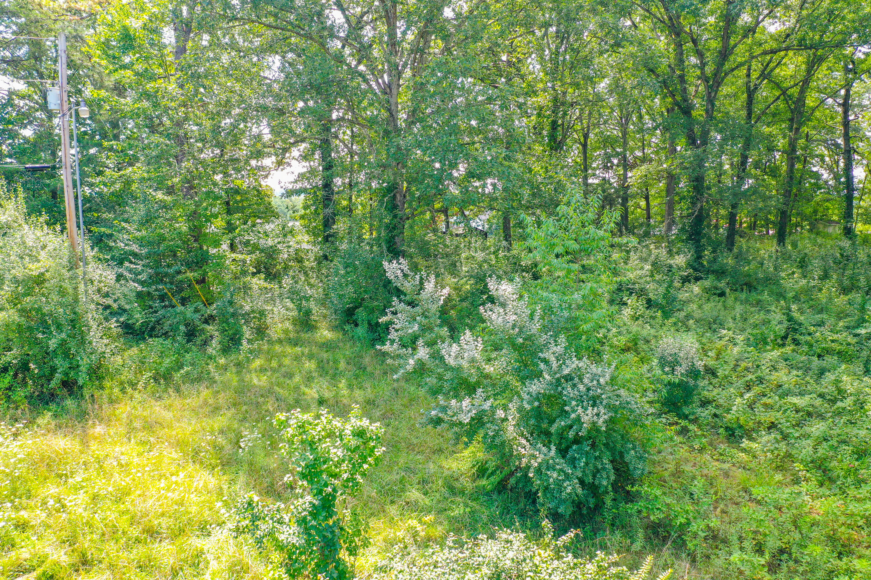 4455 Keavy Road London, KY 40744 - Photo 23 of 24 DJI_0679