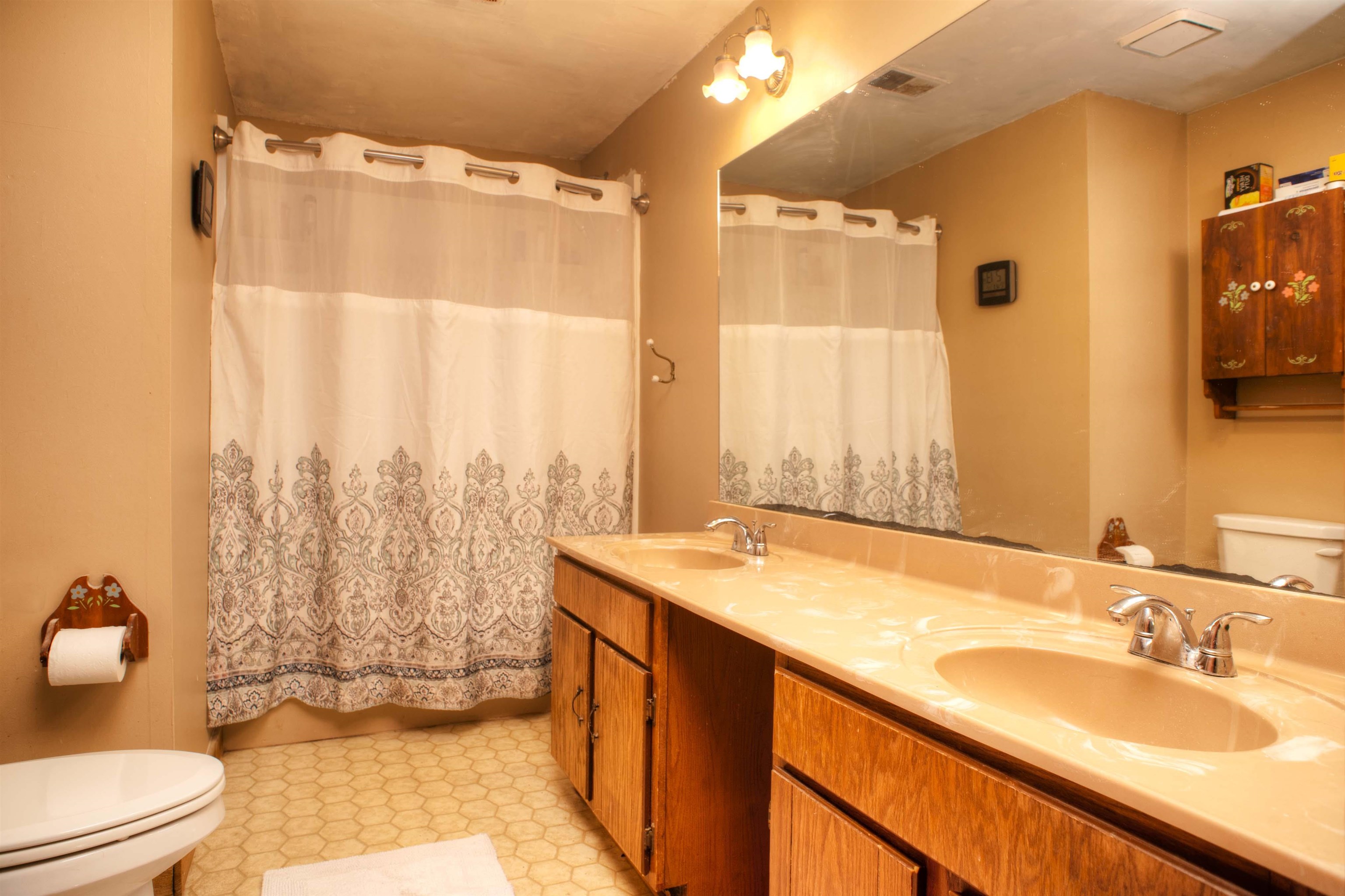 635 Sycamore Road Collierville, TN 38017 - Photo 12 of 20 Full Bath in Upstairs Hallway features Double Sink Vanity with Make-Up Area, Tub and Shower