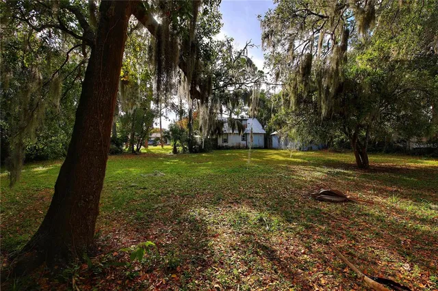 a view of a backyard with large trees and wooden fence