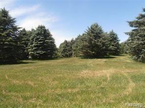 Vl Roberts Stockbridge, MI 49285 - Photo 5 of 8