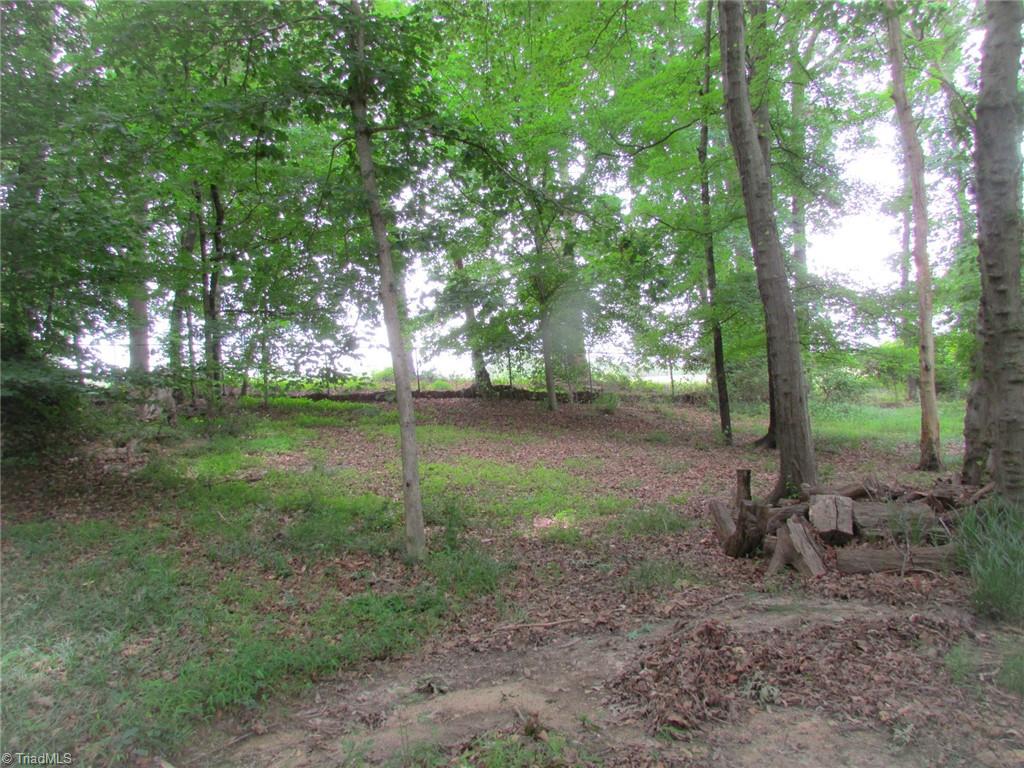 1612 Penny Road High Point, NC 27265 - Photo 42 of 46 Backyard-Wooded Portion That Backs up To Jamestown Golf Course