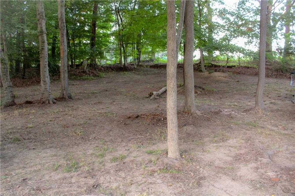 1612 Penny Road High Point, NC 27265 - Photo 43 of 46 Back Wooded Half of Backyard