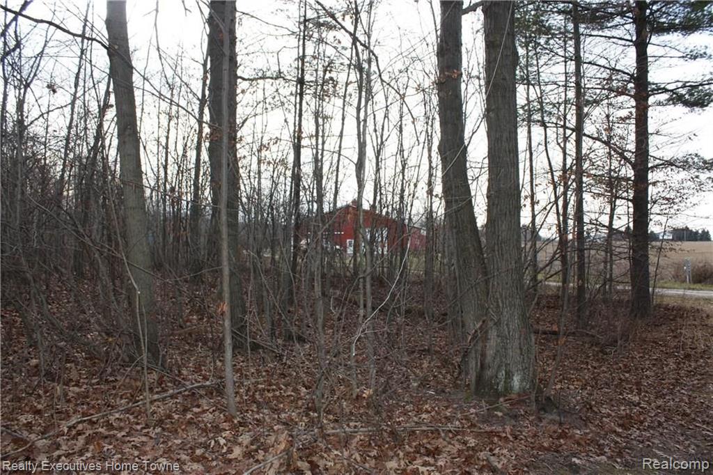 V/l Vincent Road North Street, MI 48049 - Photo 22 of 27