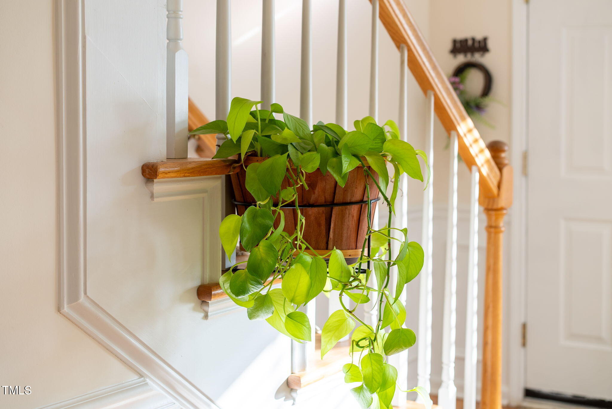 4 Scottish Lane Durham, NC 27707 - Photo 7 of 49 a close up of a plant with a potted plant