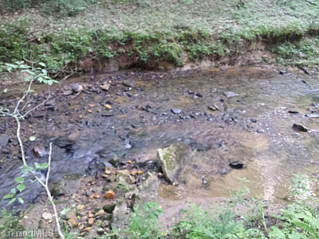 2462 Steele Road Sandy Ridge, NC 27046 - Photo 3 of 10 View. another view of creek