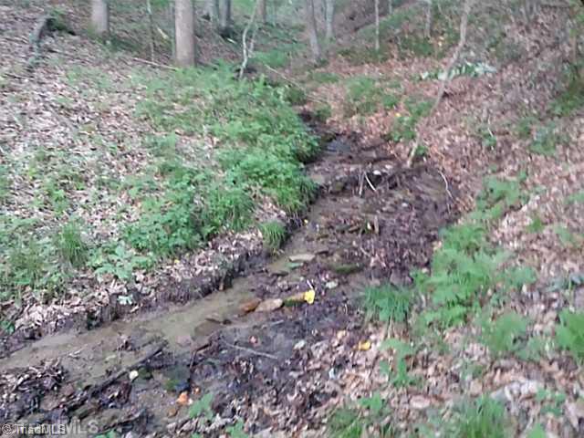 2462 Steele Road Sandy Ridge, NC 27046 - Photo 5 of 10 Land/Lot. stream going down side of property