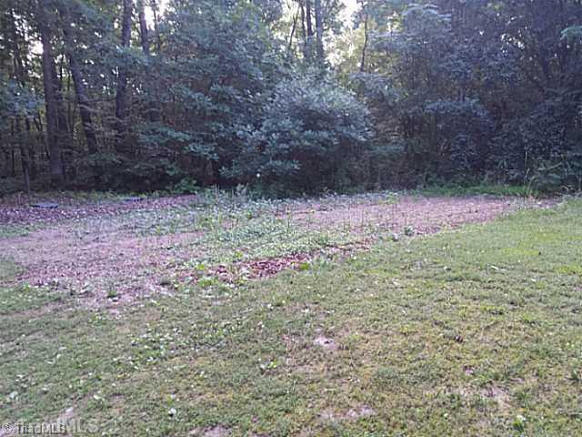2462 Steele Road Sandy Ridge, NC 27046 - Photo 9 of 10 Land/Lot. Garden space