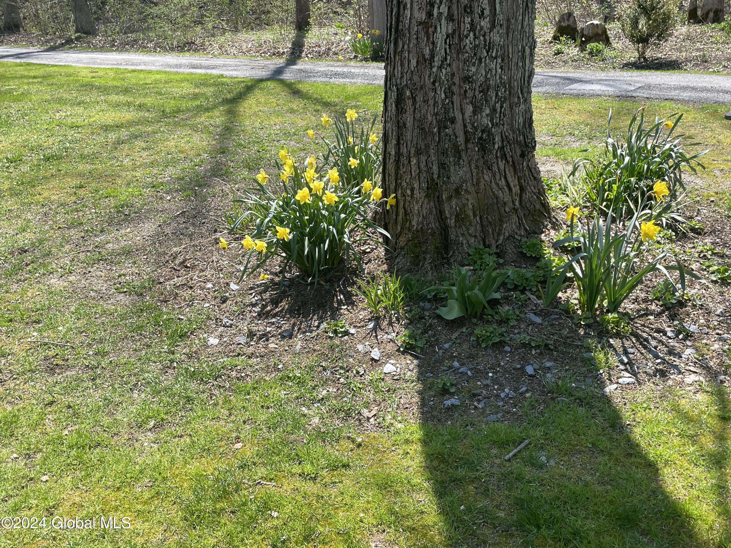 15 Shingle Hollow Road Hoosick, NY 12138 - Photo 27 of 68 IMG_4331