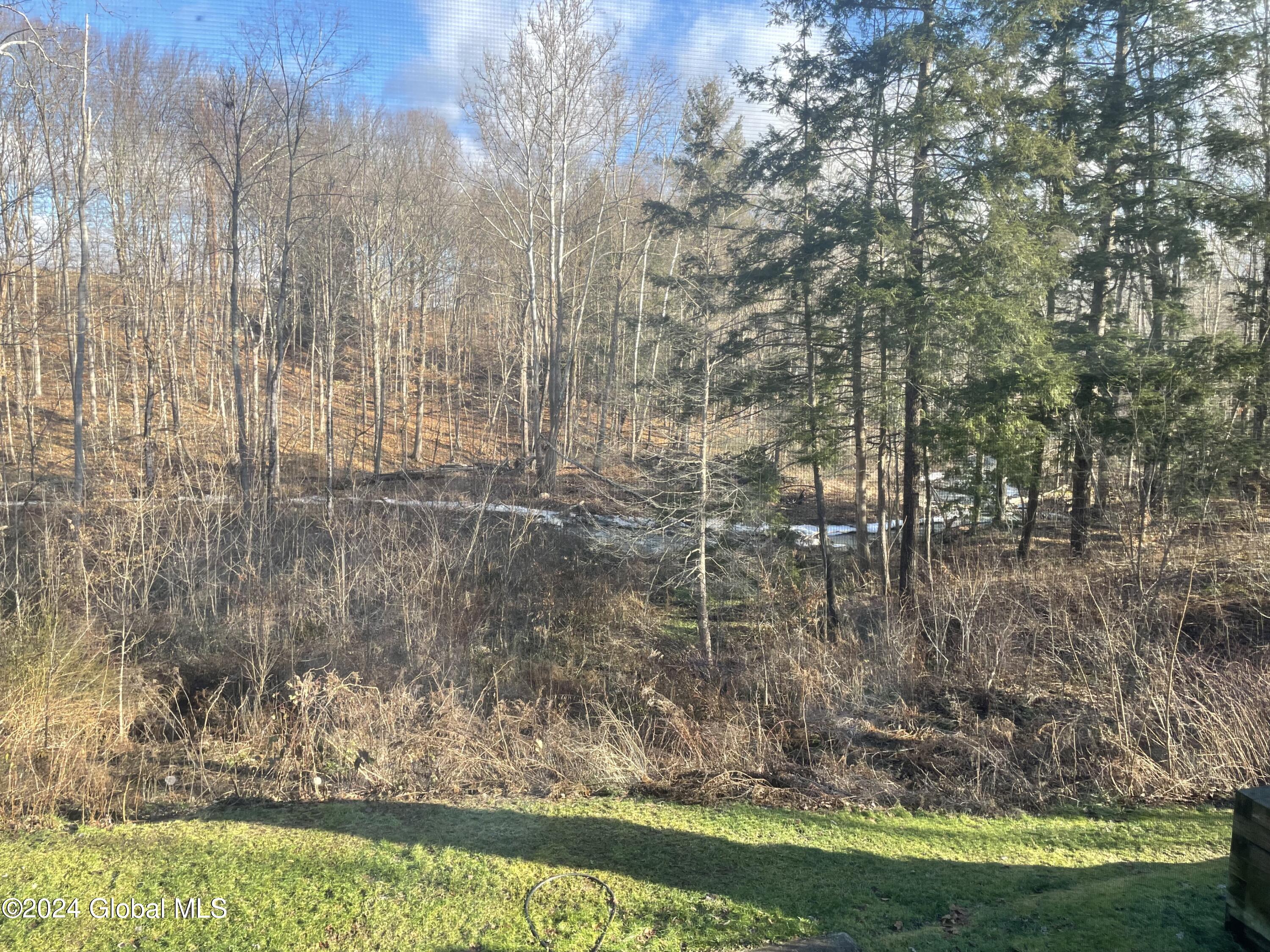 15 Shingle Hollow Road Hoosick, NY 12138 - Photo 34 of 68 back view (2)